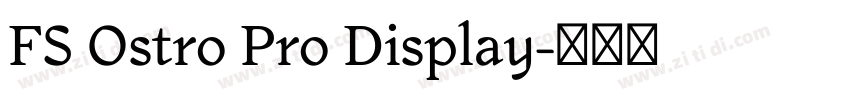 FS Ostro Pro Display字体转换